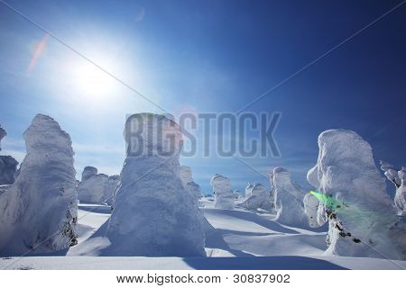 Měkké Rime, Mt.zao v Japonsku