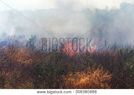 Strong Smoke In Steppe. Forest And Steppe Fires Destroy Fields And Steppes During Severe Droughts. F