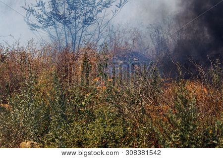 Strong Smoke In Steppe. Forest And Steppe Fires Destroy Fields And Steppes During Severe Droughts. F