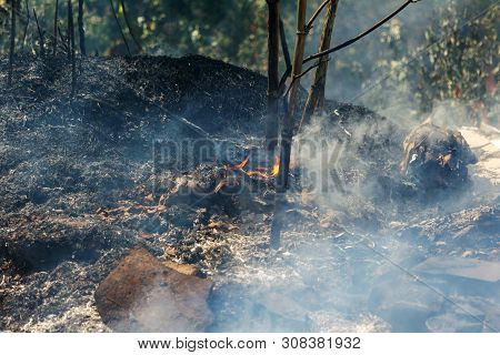 Strong Smoke In Steppe. Forest And Steppe Fires Destroy Fields And Steppes During Severe Droughts. F