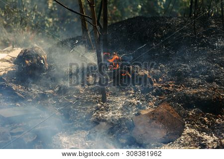 Strong Smoke In Steppe. Forest And Steppe Fires Destroy Fields And Steppes During Severe Droughts. F