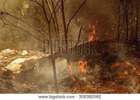 Strong Smoke In Steppe. Forest And Steppe Fires Destroy Fields And Steppes During Severe Droughts. F