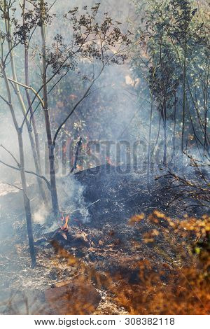 Strong Smoke In Steppe. Forest And Steppe Fires Destroy Fields And Steppes During Severe Droughts. F