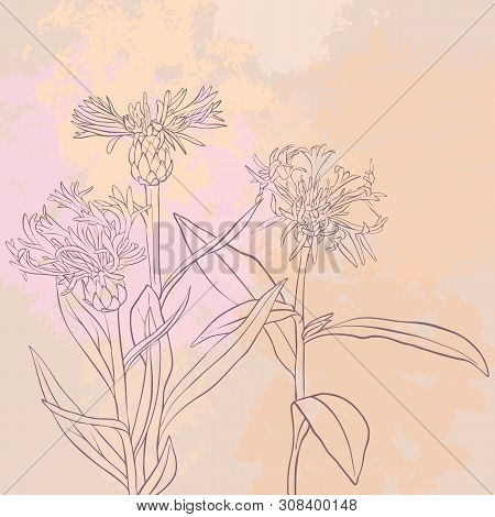 Vector Drawing Flowers At Vintage Pink Background, Floral Composition, Hand Drawn Illustration