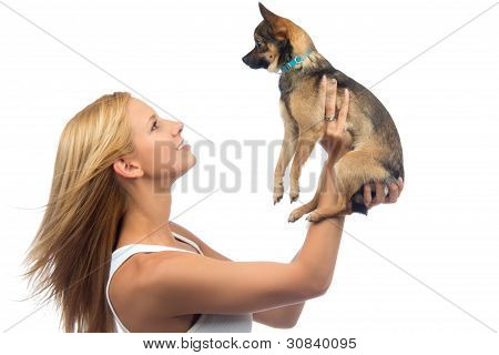 Nő a Hold a kezében kis Chihuahua kutya kölyök