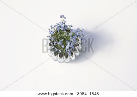 Forgotmenot In A Glass Vase With Water On White Background Beautiful Shadows Top View Flat Lay Isola