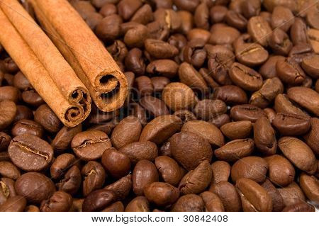 เมล็ดกาแฟและไม้ Canella