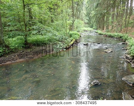 Beautiful Valley Of Wild Doubrava River In Bohemian Highlands In Checz Republic