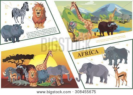Cartoon African Safari Concept With Zebra Lion Hippo Giraffe Buffalo Antelope Leopard Crocodile Rhin