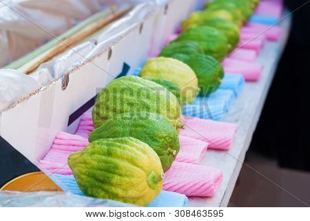 Jewish Festival Of Sukkot. Traditional Market Before The Holiday Of Sukkot.etrog Yellow Citron Tradi