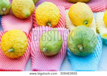 Jewish Festival Of Sukkot. Traditional Market Before The Holiday Of Sukkot.etrog Yellow Citron Tradi