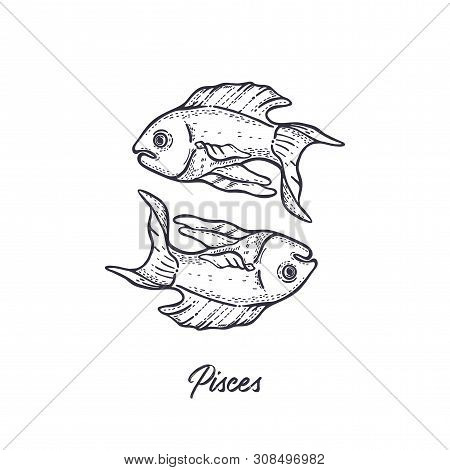 Pisces Zodiac Sign. The Symbol Of The Astrological Horoscope. Hand-drawn Illustration.