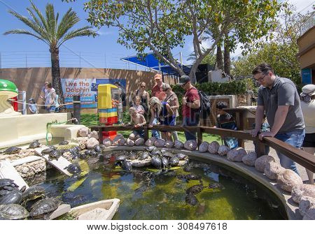 Visitors Watching Turtles Pond Marineland