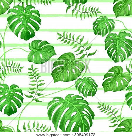 Seamless Background With Monster Leaves And Palm Tropical Plants. Exotic Monster Leaves On White Bac