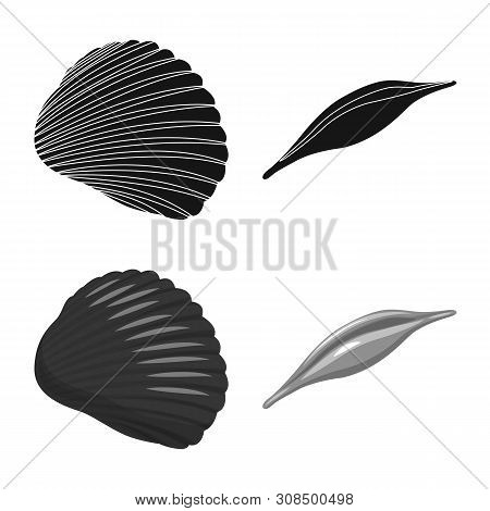 Vector Illustration Of Animal And Decoration Icon. Set Of Animal And Ocean Vector Icon For Stock.