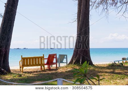 Empty Seats On Beac Under Tall Trees With View Out To Sea.