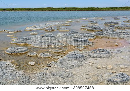 Stromatolites Are Living Rock-like Fossils That Have Been Producing Oxygen For About 3.5 Billion Yea