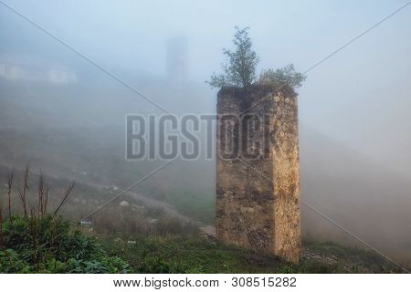 Destoyed Svan Tower With Tree Gow From It In High Mountain Adishi Village With Dramatic Light Of Haz