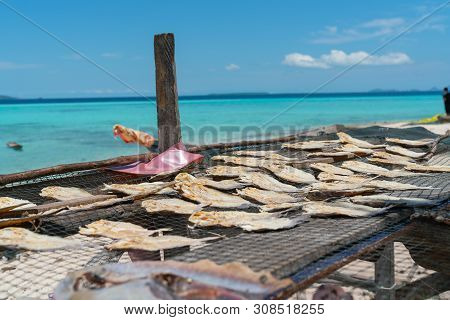 Fish Drying On Rack By Beach Close-up On Tropical Island Of Borneo.