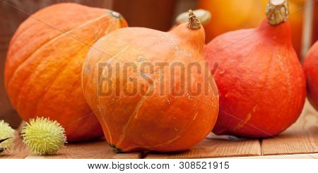 Several Beautiful Orange Pumpkins Lie On A Wooden Table