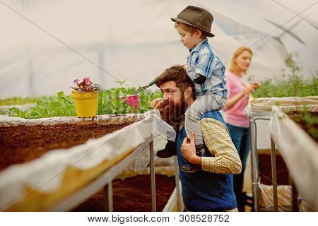 Orangery Garden. Orangery Garden Cultivation. Happy Family In Orangery Garden. Orangery Garden Plant