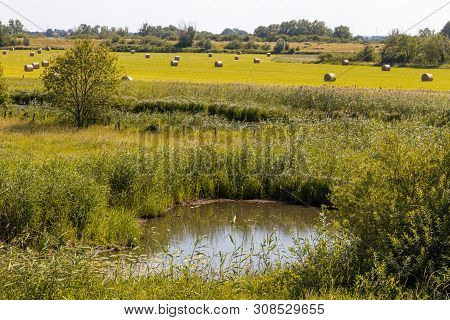 Hay Harvest In Unesco Biosphere Reserve River Landscape Elbe, Boizenburg, Germany. Backlit Photograp