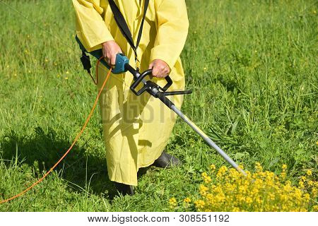 Trimmer Mows Grown Grass On The Lawn Forming A Circle. Trimmer Close Up Mow The Grass With A Lawnmow