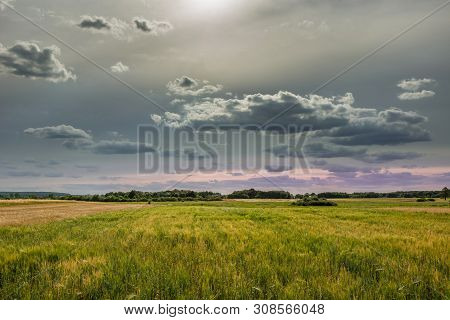 Gray Clouds And Sky Over Yellow Fields. Wolka Czulczycka, Poland