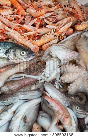 Various Fresh Seafood And Fish Displayed On The Table For Sale In A Fish Market In Bari, Italy