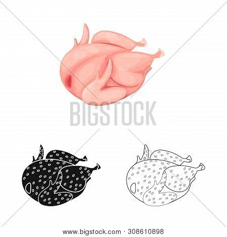 Vector Illustration Of Chicken And Fresh Icon. Set Of Chicken And Dinner Vector Icon For Stock.