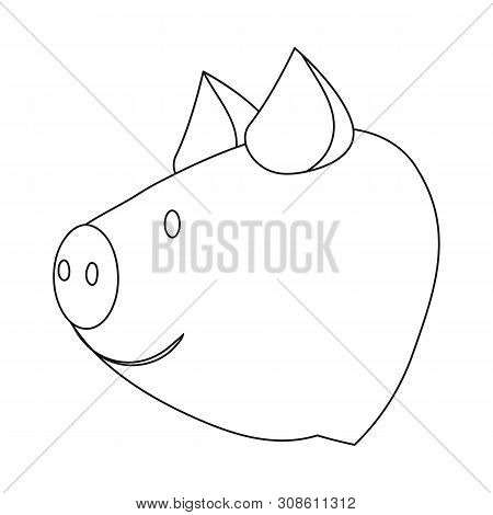 Vector Illustration Of Turkey And Bird Icon. Collection Of Turkey And Funny Vector Icon For Stock.