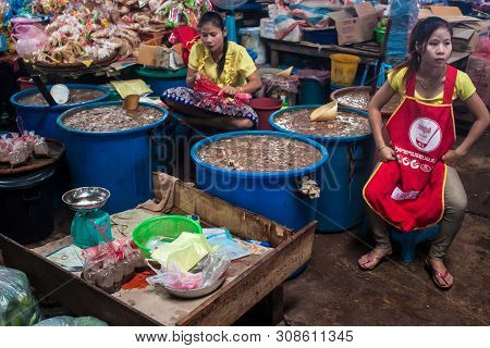 Pakse, Laos - Sep 13: Preparation Of A Fish Sauce On A Market In Pakse, Laos On Sep 13, 2013. Pakse 