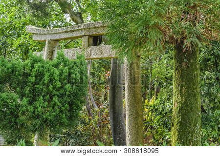 Philosopher Path, Kyoto, Japan