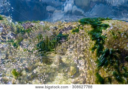 Stones With Green Algae In Clear Sea Water