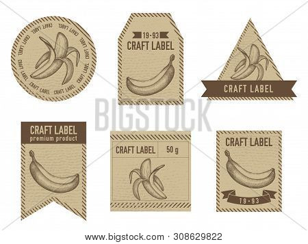 Craft Labels Vintage Design With Illustration Of Bananas Stock Illustration