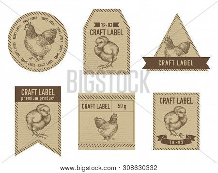 Craft Labels Vintage Design With Illustration Of Chicken Stock Illustration