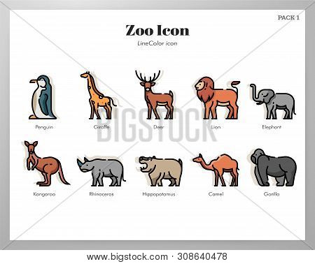 Zoo Vector Illustration In Line Color Design