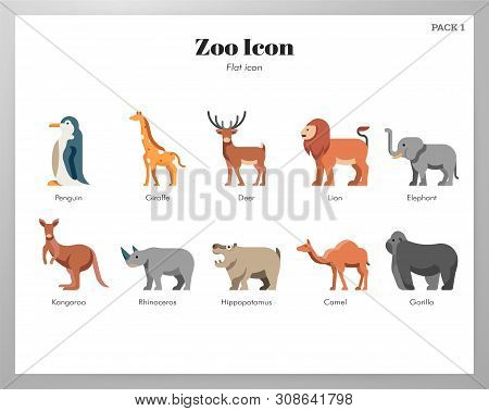 Zoo Vector Illustration In Flat Color Design