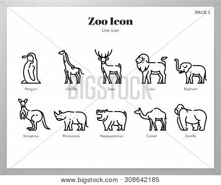 Zoo Vector Illustration In Line Stroke Design