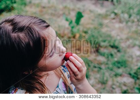 Girl Eating Strawberry. Child Face Closeup. Healthy, Organic Food. Fresh Ripe Berry. Summertime, Spr