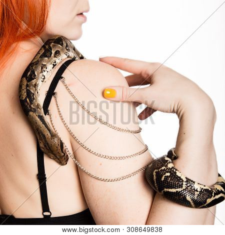 Sexy Redhead Woman Holding Snake. Close-up Photo Girl With Pygmy Python On A White Background