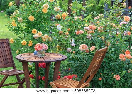 Romantic Sitting Area In The Rose Garden, Round Wooden Table And Chairs Near The Large Flowering Bus
