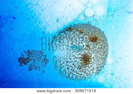 Oil Bubbles Inside Water Base Form Patterns