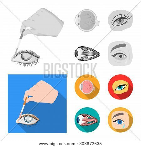 Vector Illustration Of Medical And Eyeball Logo. Collection Of Medical And Optical Vector Icon For S