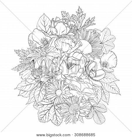 Vector Drawing Flowers, Decorative Rosette, Stylized Designtemplate, Isolated Floral Element, Hand D