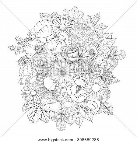 Vector Drawing Flowers, Decorative Rosette, Stylized Designtemplate, Isolated Floral Element, Hand D