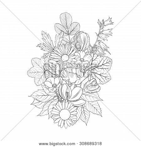 Vector Drawing Flowers, Decorative Rosette, Stylized Designtemplate, Isolated Floral Element, Hand D