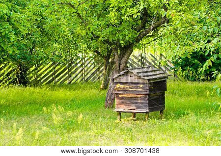 Very Old, Historical Empty Beehive In The Garden. Traditional Beehive From Old Times, Made Of Solid 