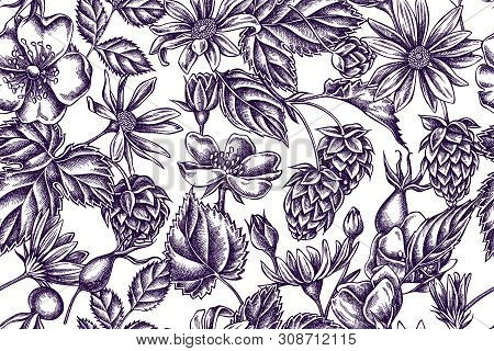 Artistic Pattern With Dog Rose, Hop, Jerusalem Artichoke Stock Illustration