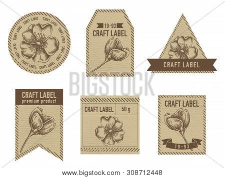Craft Labels With Dog Rose Stock Illustration